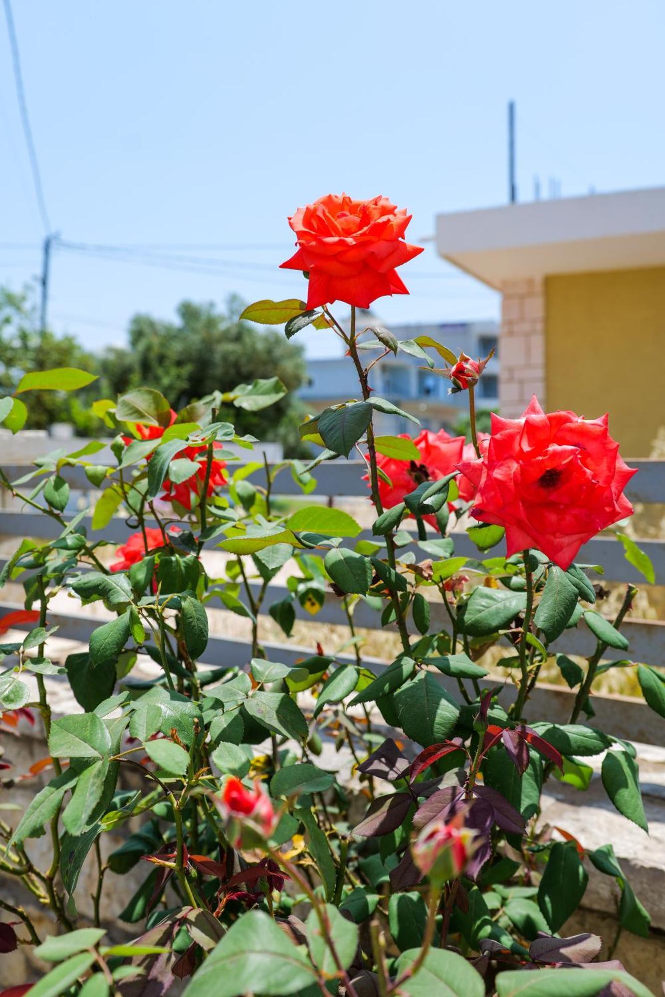 Vila Leka Ksamil Exterior photo